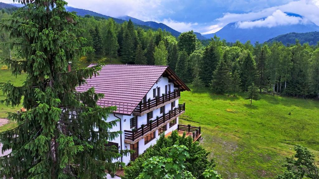 a house in a field with mountains in the background at Belvedere Retezat in Cîmpu lui Neag