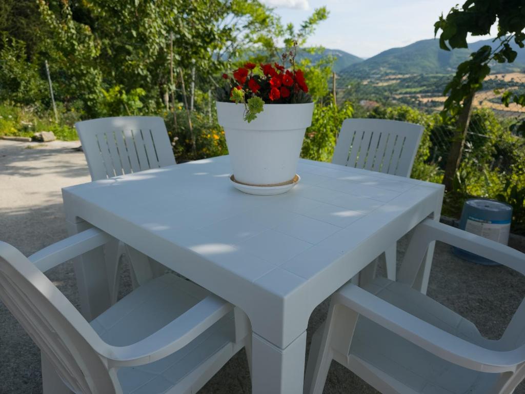 a white table and chairs with a flower pot on it at Casa Vacanze Merion in Piticchio