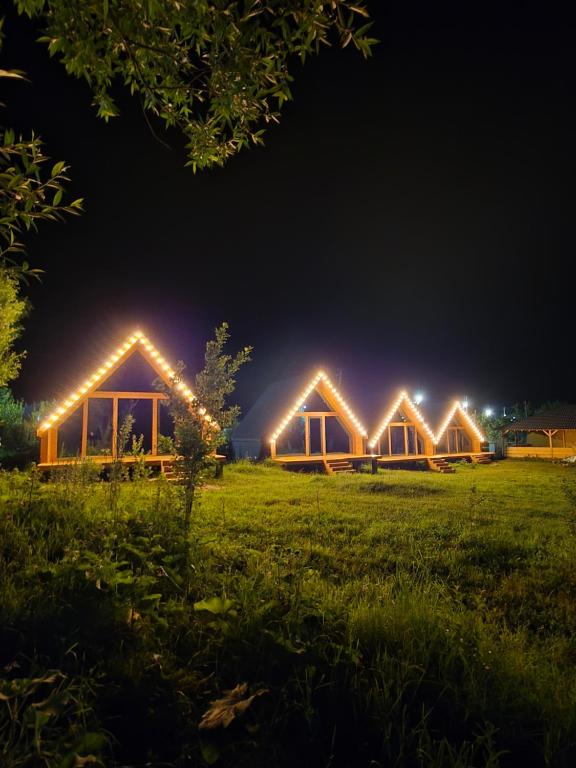 a row of greenhouses lit up at night at Кольсай Тау Оректы resort in Kurmenty