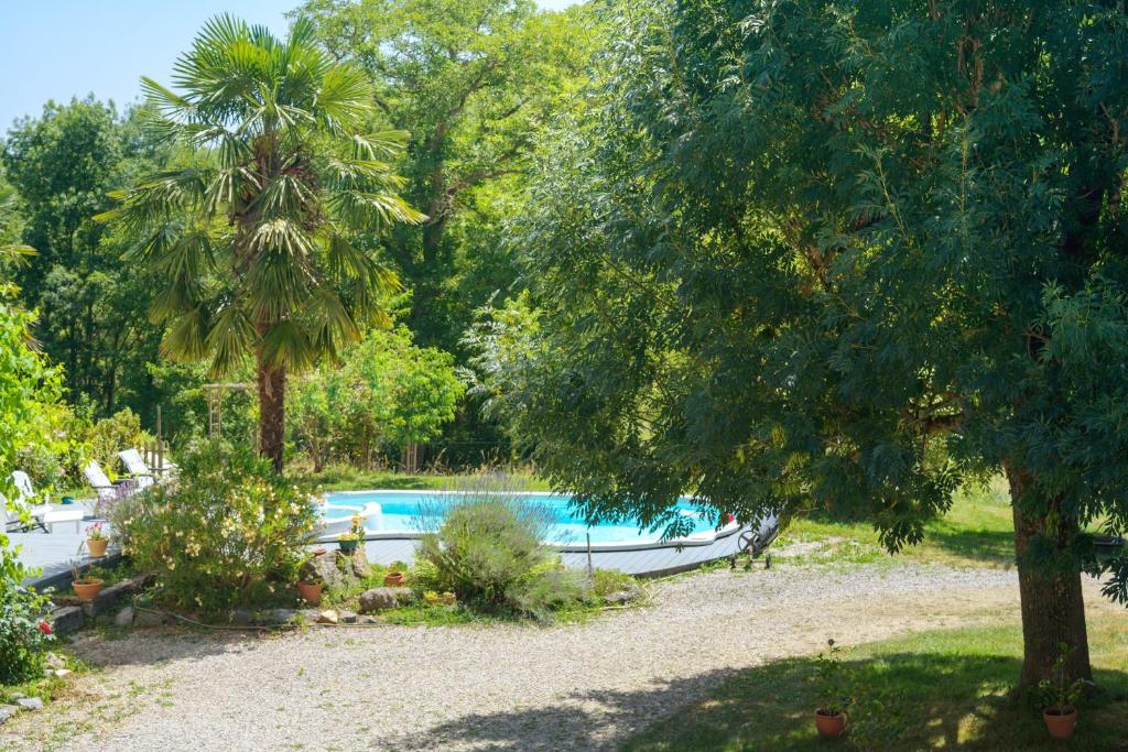 a swimming pool with a boat in a garden at Gite L'Aventura in Régades
