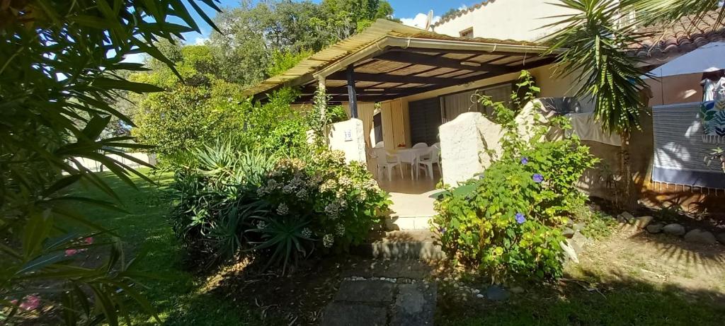 a patio of a house with a bunch of plants at Maison Laujo en bord de mer in Santa-Maria-Poggio