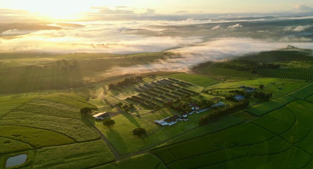 an aerial view of a farm in the middle of a field at Gillys Accommodation in Camperdown