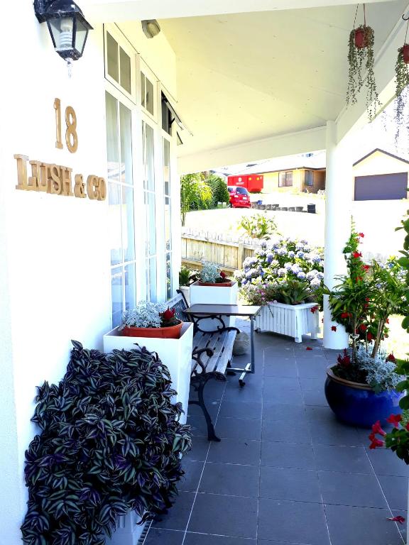 Lush & Co Auckland Bed & Breakfast - Resim 36