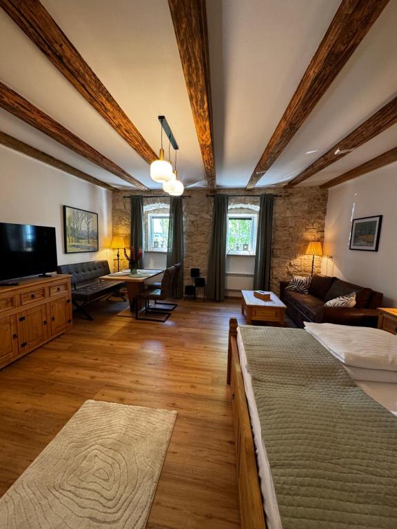 a large living room with a couch and a tv at Ferienwohnung Strohblume 2 in Rust