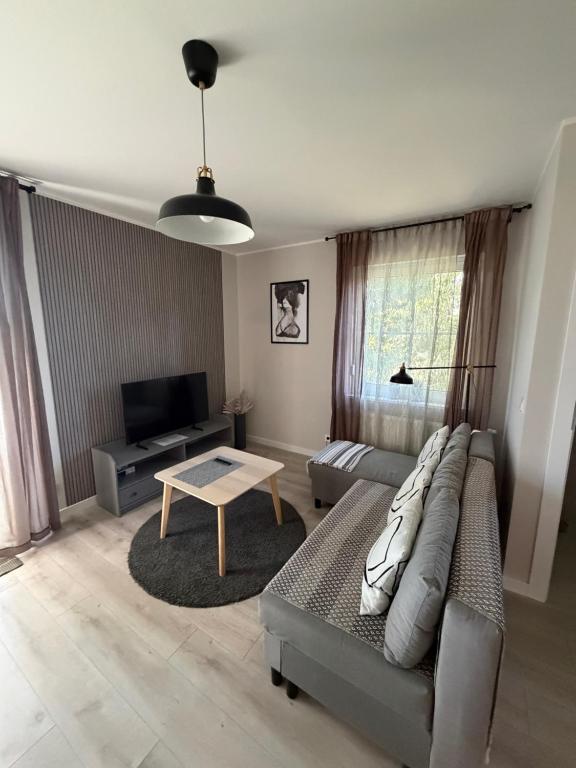 a living room with a couch and a table at Apartament 9 Rydzyna in Rydzyna
