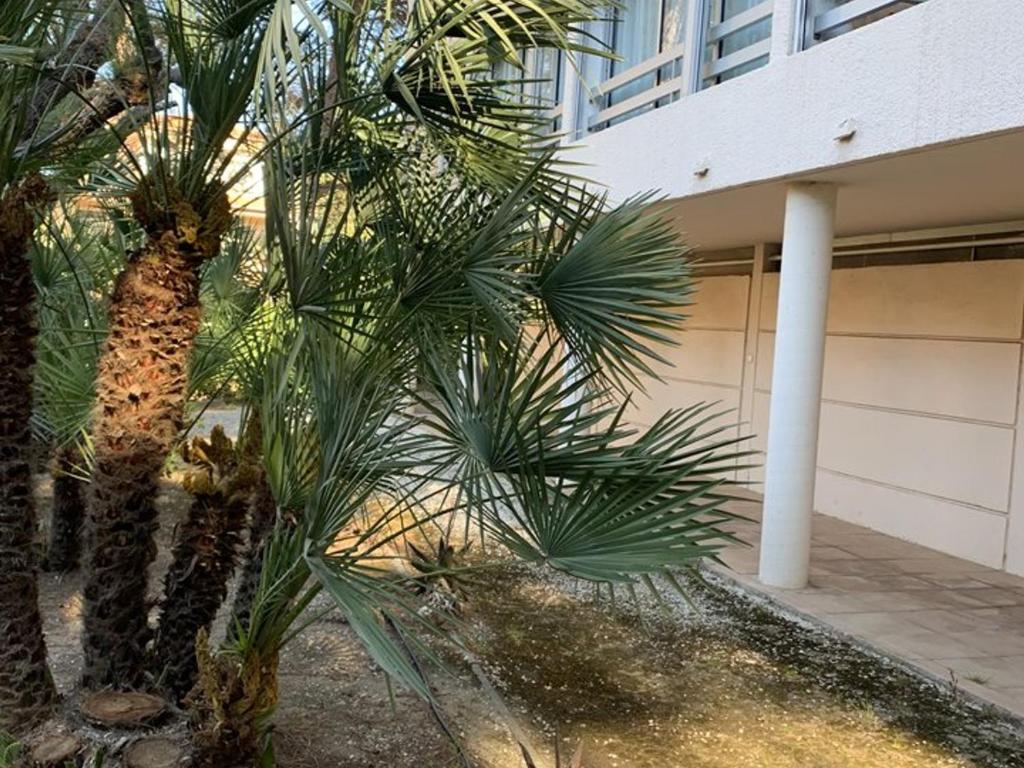 Appartement rénové avec parking - 4 pers.