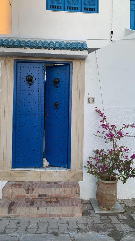 a blue door on a building with a potted plant at Nadia Babay in Dar Salah Bey