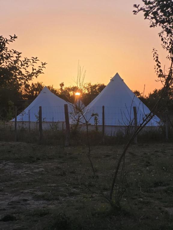 three white tents in a field at sunset at Tente Zéla in Ambillou-Château