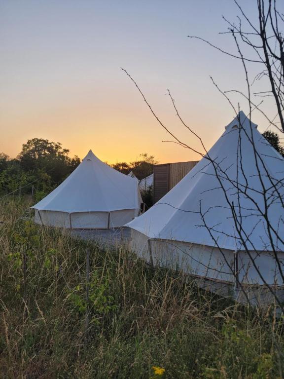 two white tents in a field at sunset at Tente Inca in Ambillou-Château