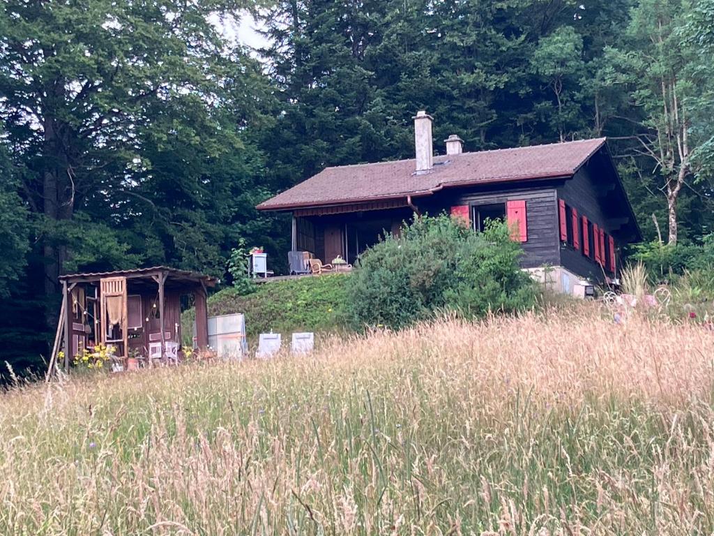 an old house sitting in the middle of a field at un ptit chalet in Les Brenets