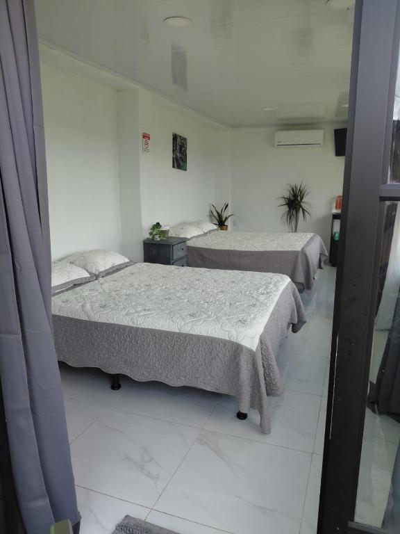 a room with two beds in a room at Villa Terraza in El Castillo de La Fortuna