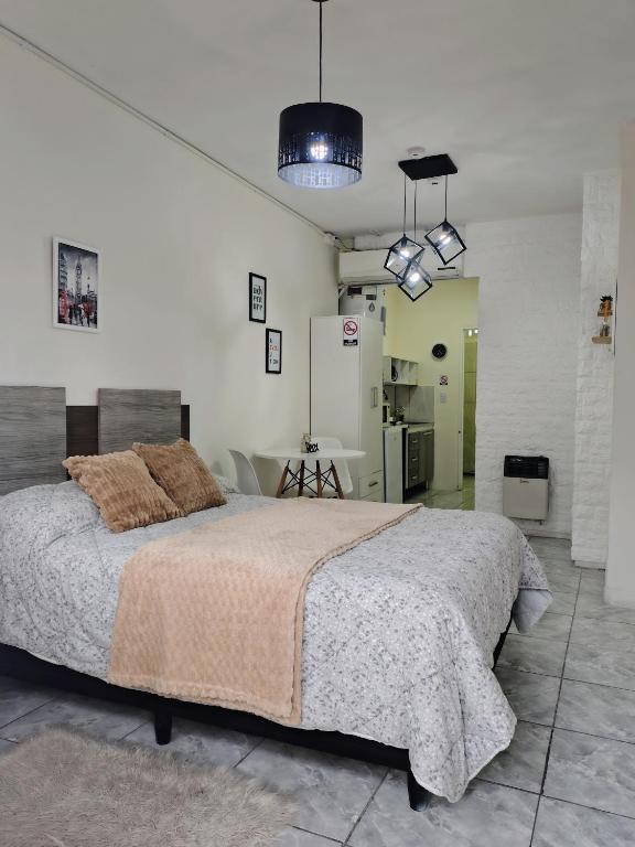 a bedroom with a large bed in a white room at Moderno Estudio PB - Entrada Autónoma, Equipado y Cerca de Todo in Mendoza