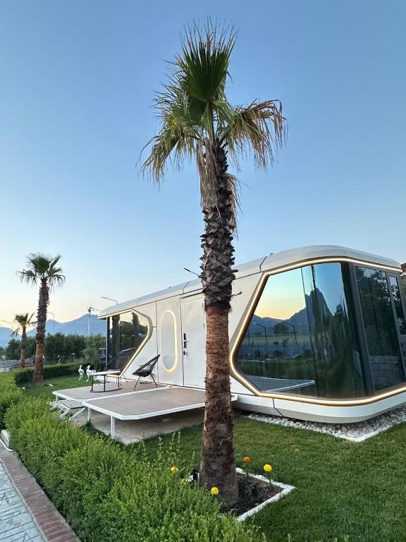 a palm tree in front of a house at Vila Summer Depo in Sarandë