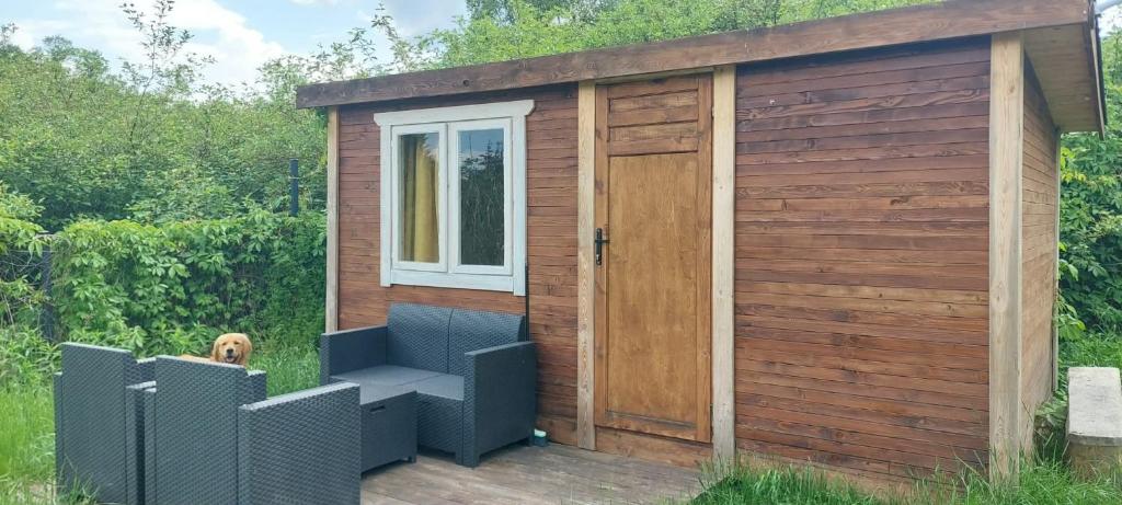a wooden shed with a dog sitting on a deck at Domek GLAMPING na Polu namiotowym RADOŚĆ in Okuninka