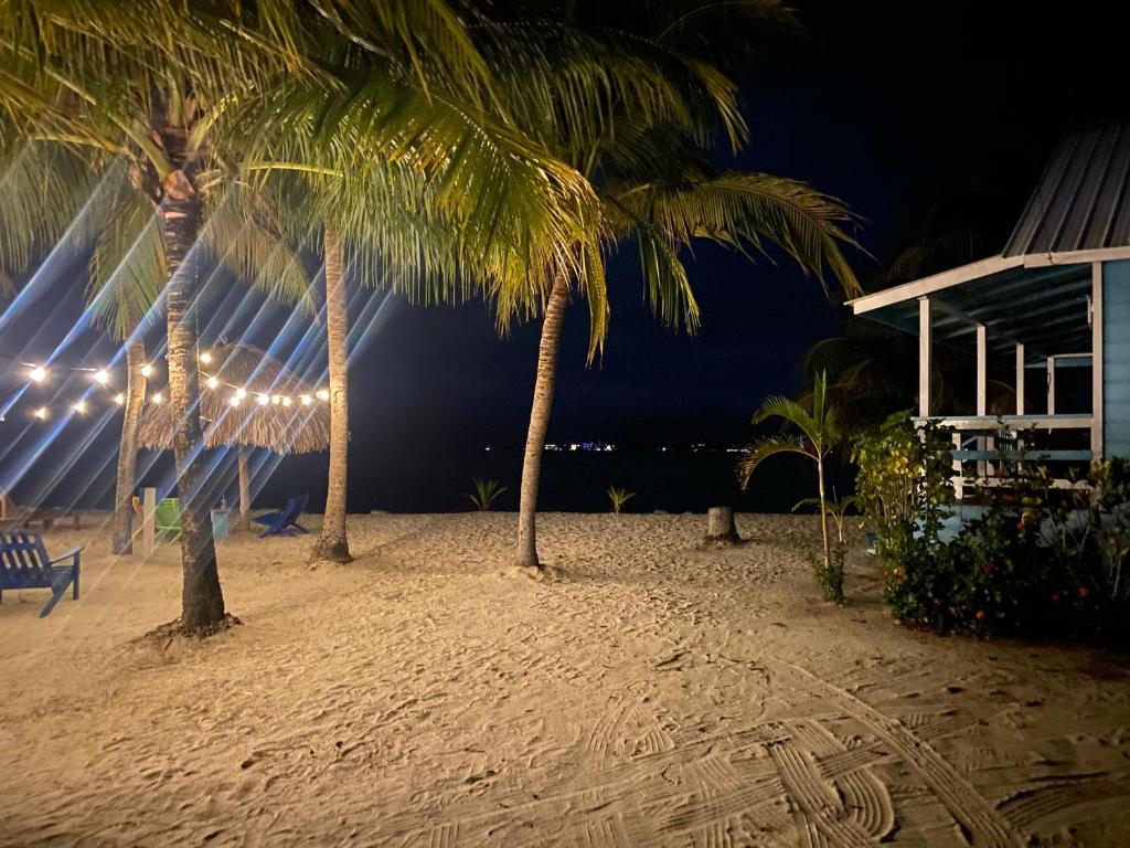 two palm trees on the beach at night at The Village Inn in Placencia