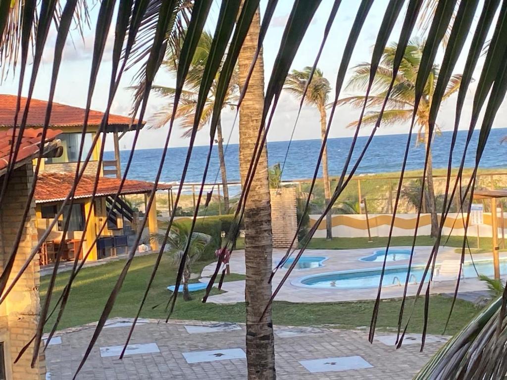 a view of the ocean from a palm tree at Resort felicidade in Extremóz