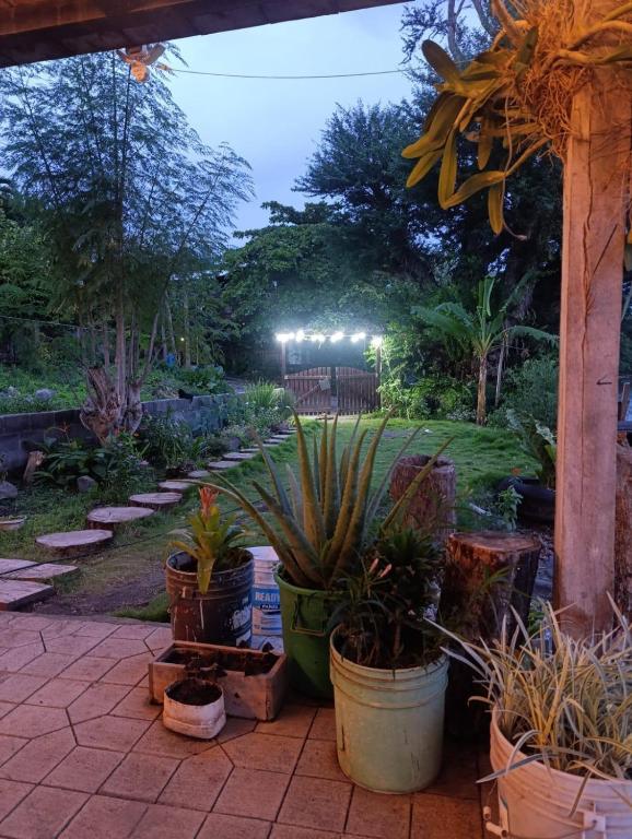 a garden with potted plants on a patio at night at Rancho Morgan in San Lázaro