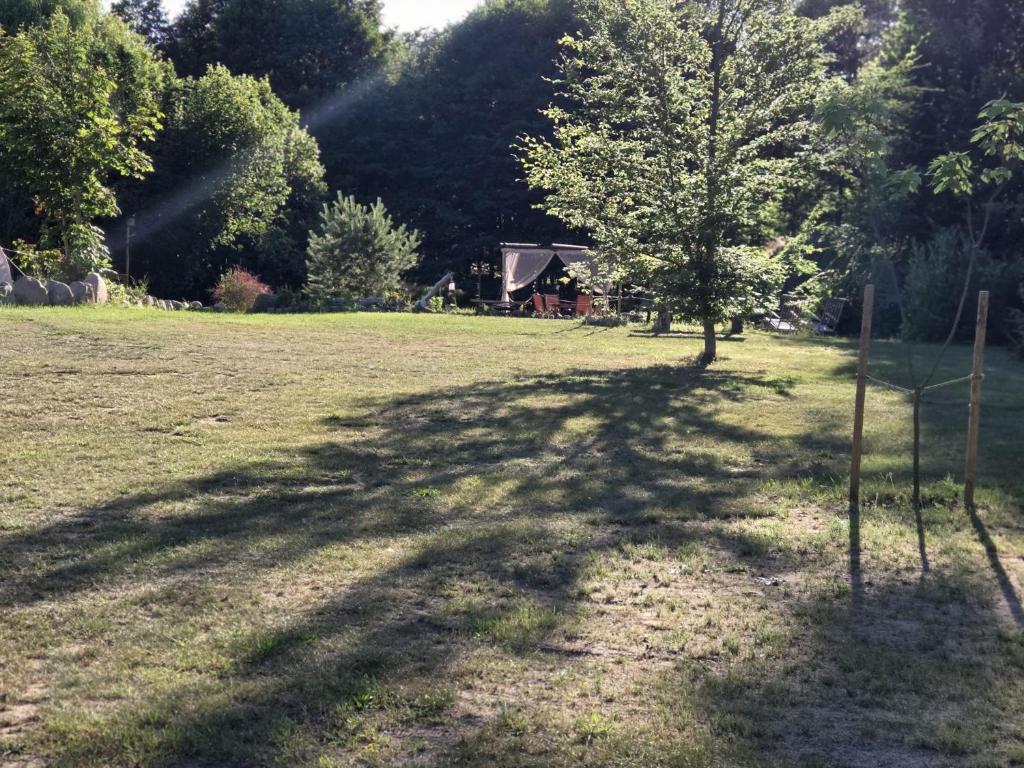 a shadow of a tree in a field at Stellplatz für VAN & Wohnmobile in Carpin