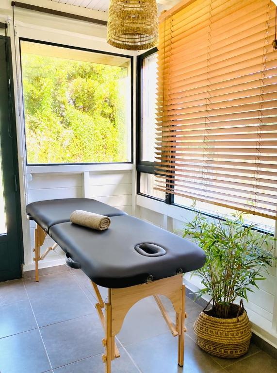 a bench sitting in a room with two windows at Villa cactus in Goyave