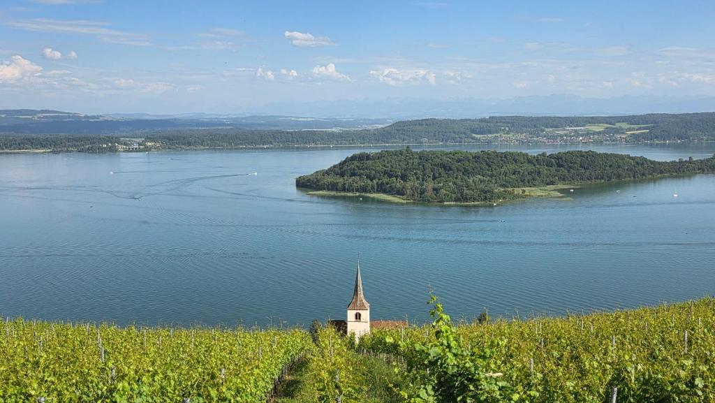 a church in the middle of a large lake at Ferien auf dem Weingut in Ligerz