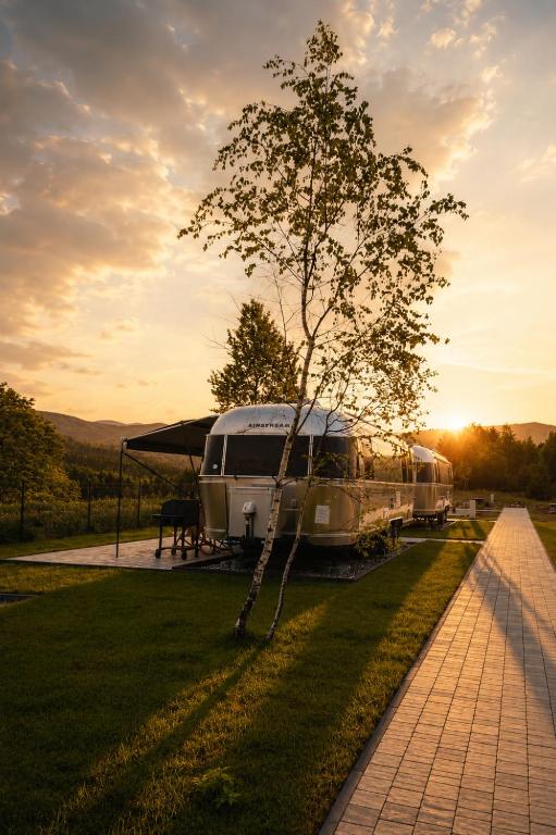 a tree sitting in the grass next to two rvs at Bieszczadzki Airstream in Wetlina