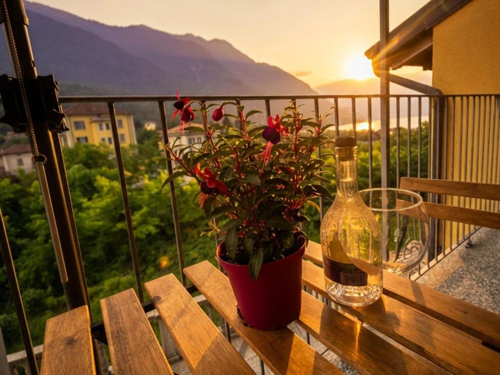 a bottle of wine and a potted plant on a balcony at Il sole di calde Lago Maggiore 505 in Castelveccana