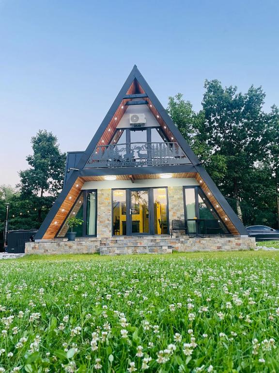 a house with a triangular roof on a grass field at A Frame Poalele Transalpinei in Novaci-Străini