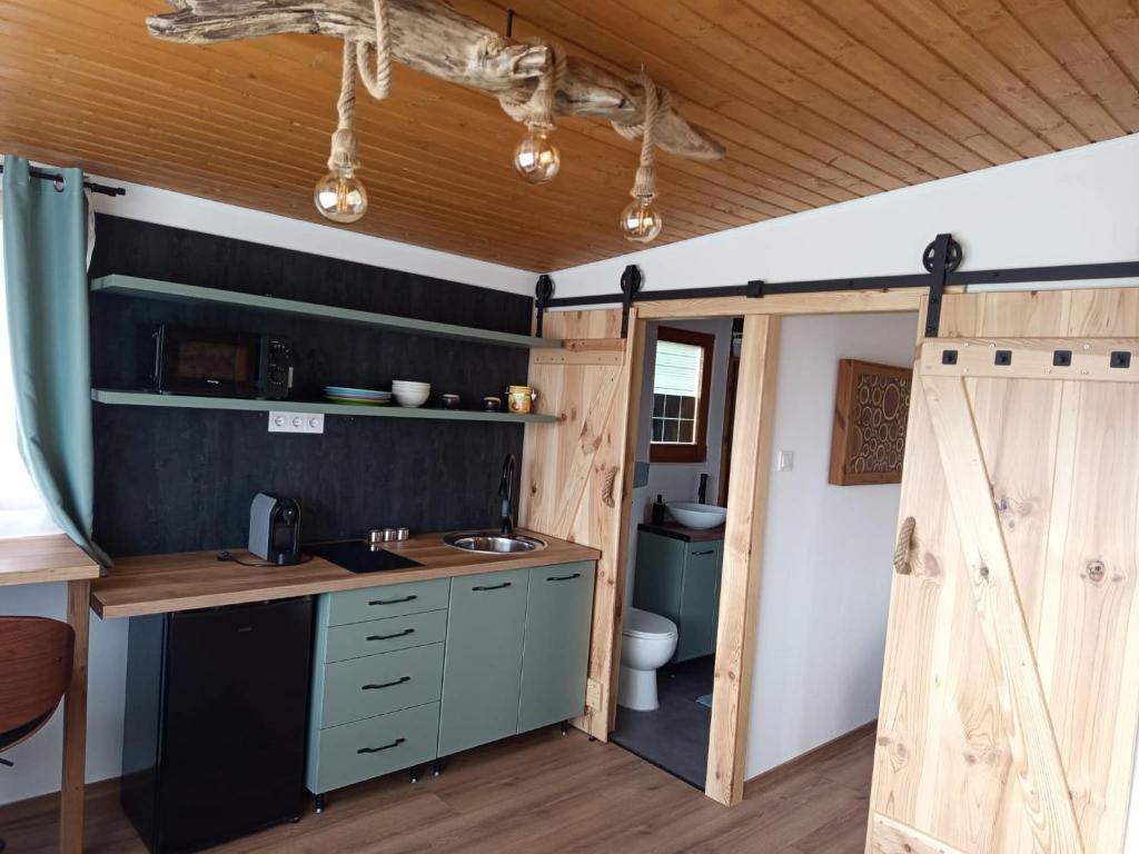 a kitchen with a sink and a toilet in a room at Sóz-Lak in Mezőcsát