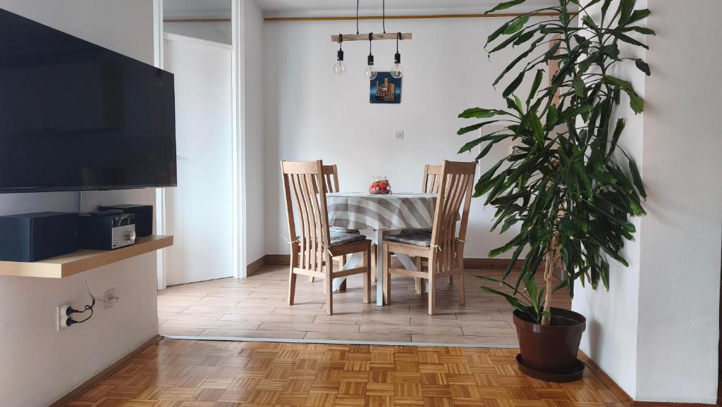 a dining room with a table and a potted plant at Apartment Irene in Pula