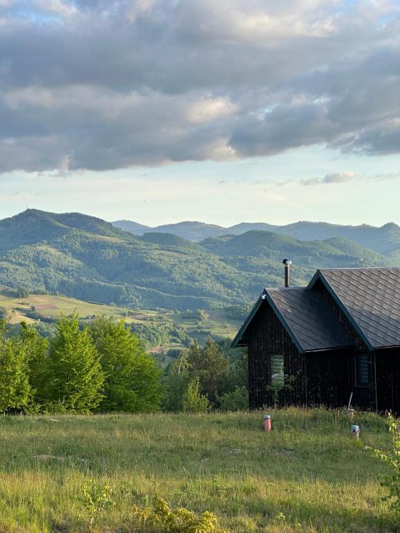 a barn in a field with mountains in the background at Dealul Notarasului Retreat in Gara Piatra Craiului