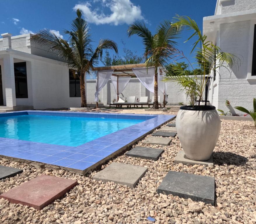 a swimming pool with a vase next to a house at Cappuccinovilla in Paje