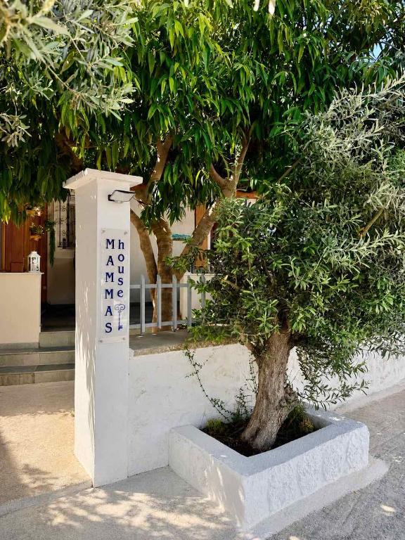 a tree in a concrete planter next to a sign at Mamas House Spetses in Spetses