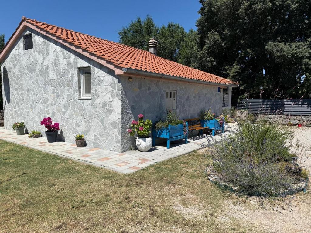 Casa Mio