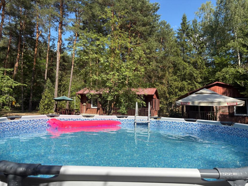 a large swimming pool with a red float in the water at Forest Villa- domki in Susiec