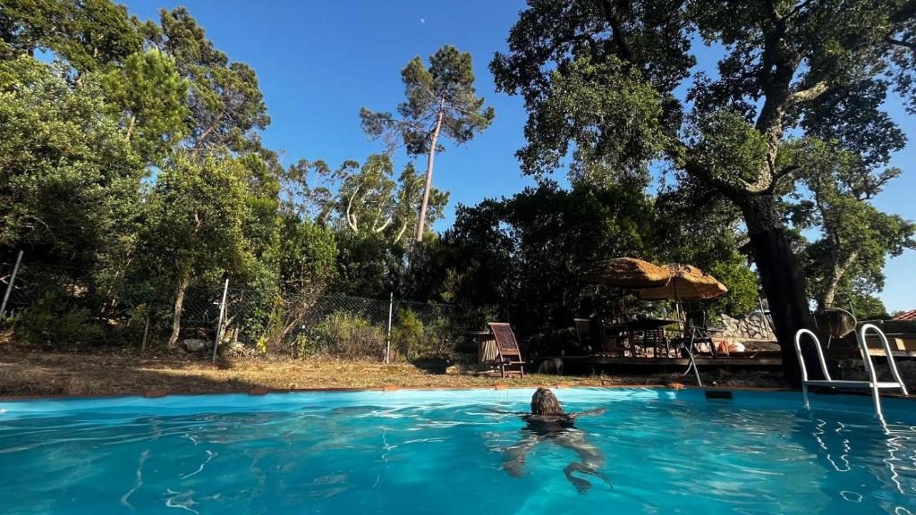 a person in the water in a swimming pool at ōku in Monchique