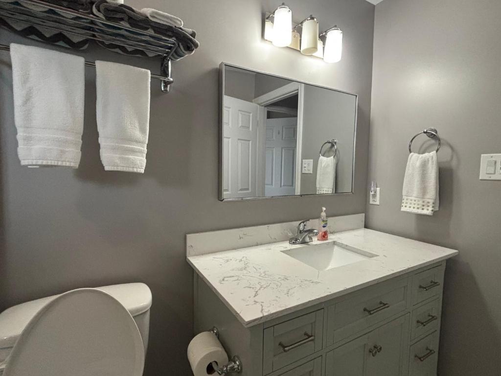 a bathroom with a sink and a mirror and a toilet at Three Pines Private Bedroom Suite in Moncton