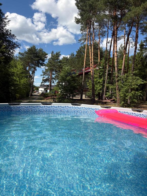 a swimming pool with a pink and blue water at Forest Villa in Susiec