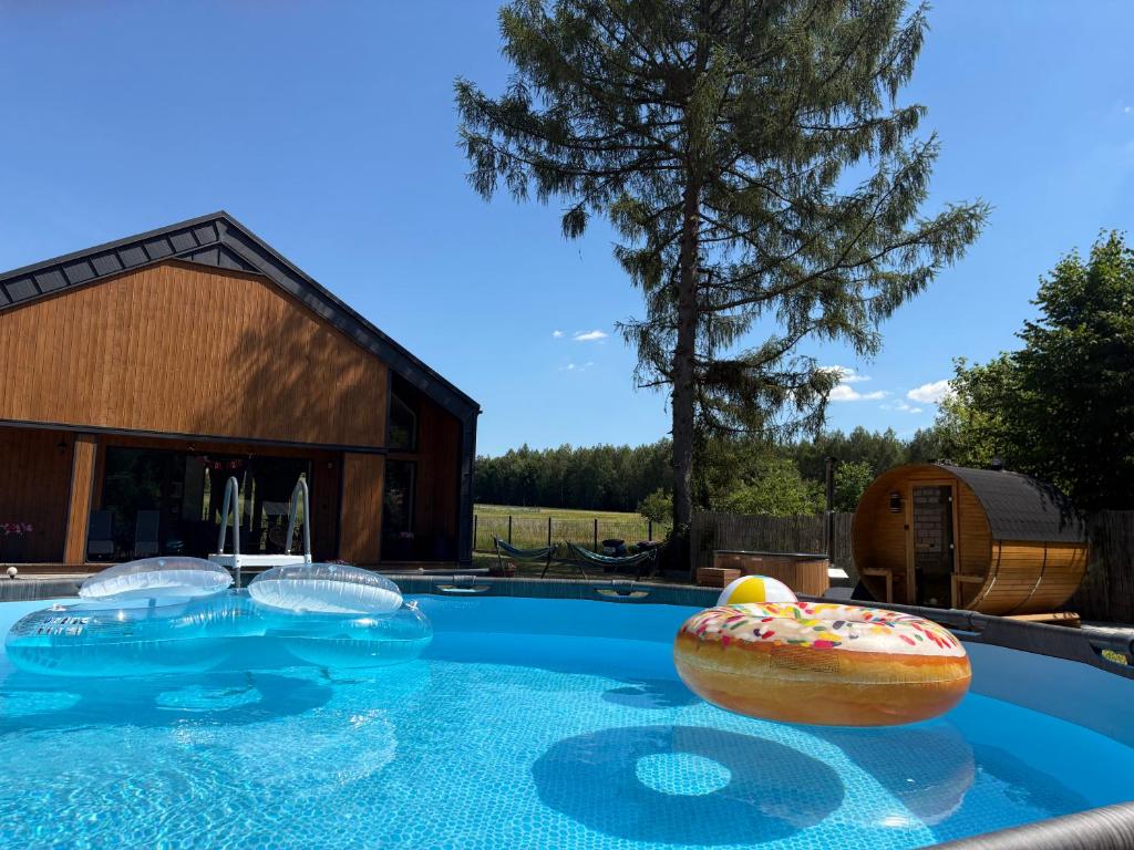 a swimming pool with a donut in the middle at Villa Roztocze in Pary