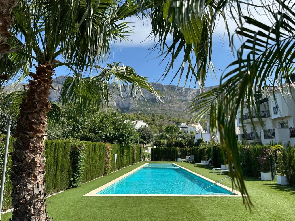 a swimming pool in a yard with a palm tree at Onda in Denia