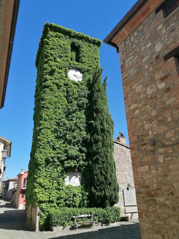 a building covered in green ivy next to a building at Il Grottino in Frontino