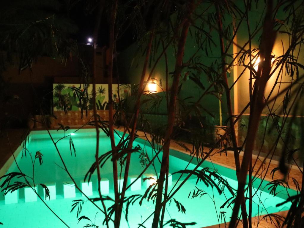 a swimming pool at night with plants in the foreground at Riad Perlamazigh in Zagora