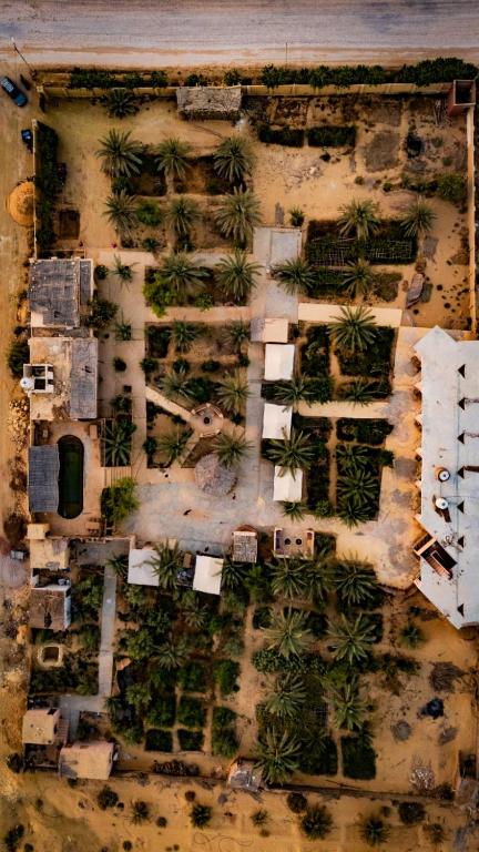 an aerial view of a building with palm trees at Ayur Lodge Siwa Oasis in Siwa
