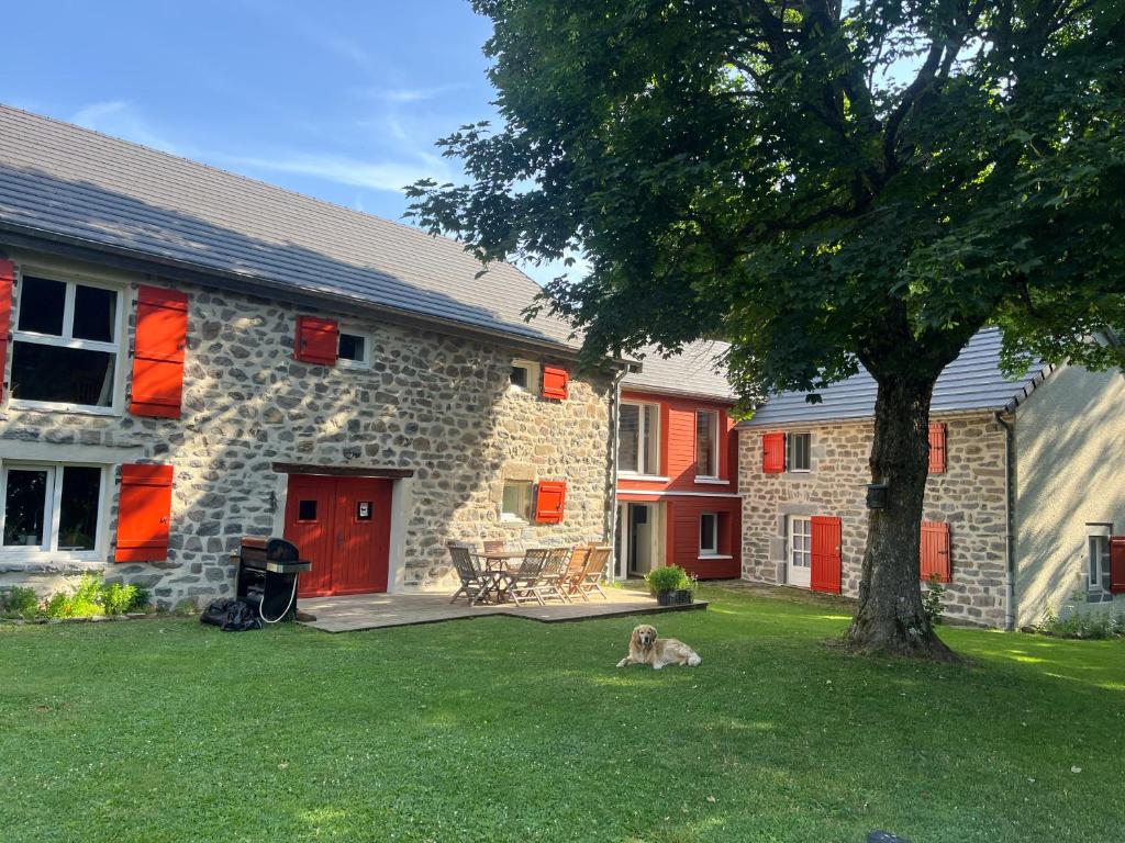 a dog laying in the grass in front of a house at Ferme de Chaudeyrac in Saint-Front