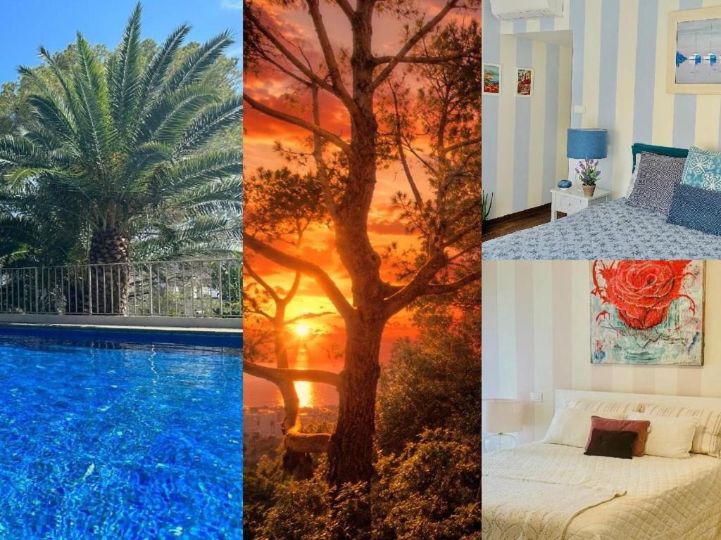 a collage of four pictures of a tree next to a pool at Luxury & Privacy - Pool, Parking, AC in Cannes