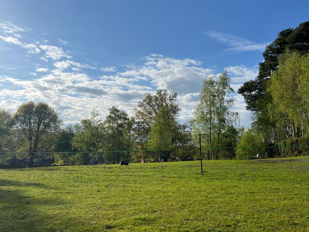 a field with a fence in a field with trees at Woodlands camping in Greatham