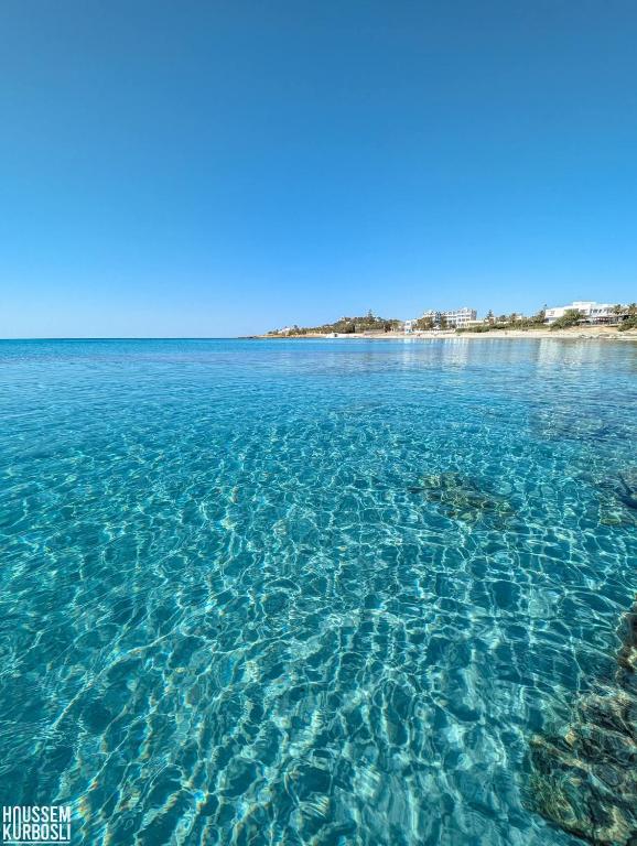 a large body of water with a beach in the background at Location Kelibia in Kelibia