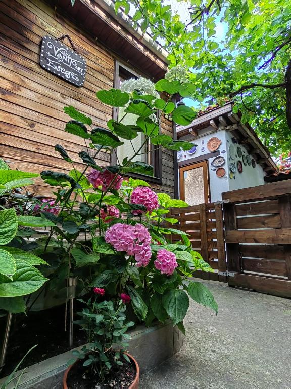 a plant in a pot in front of a building at Vanito Art Escape in Nesebar