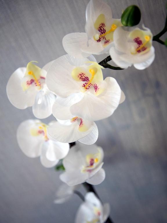 Softly Residence - Resim 30