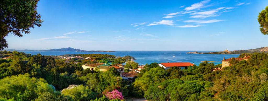 a town on a hill next to a body of water at Catalina, ritorno al '70 tra mare e natura in Cannigione