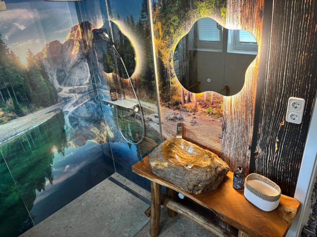 a bathroom with a shower and a toilet and a mirror at Ferienhaus Gruber in Aich